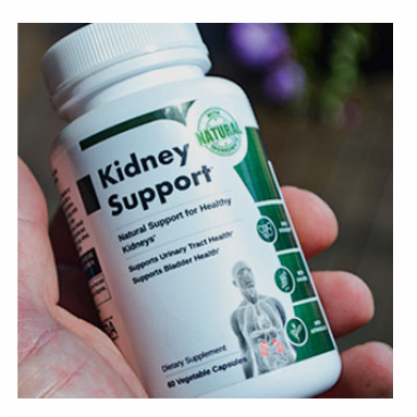 Kidney Support for a Healthy Kidney